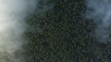 大森林的云层上方乘着厚厚的云层随风飘动视频的预览图